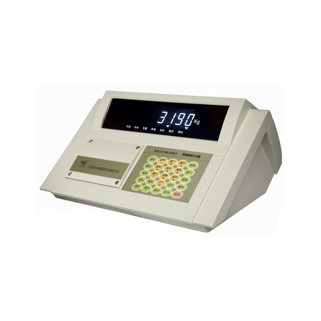 上海耀華XK3190-DS1顯示器稱(chēng)重儀表